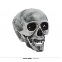 Calavera 20Cm Pvc