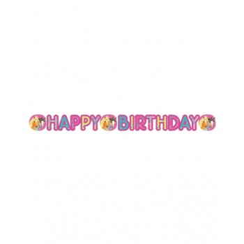 GUIR.HAPPY BDAY PRETTY PONY
