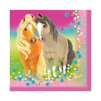 P/20 SERV.PRETTY PONY