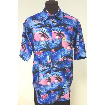 Camisa Hawaiana surtida...