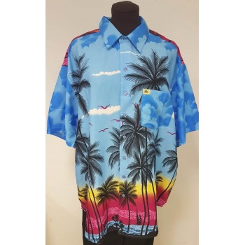 Camisa Hawaiana surtida 2...