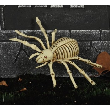 ESQUELETO ARAÑA 24CM