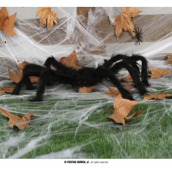 ARAÑA NEGRA 70CM