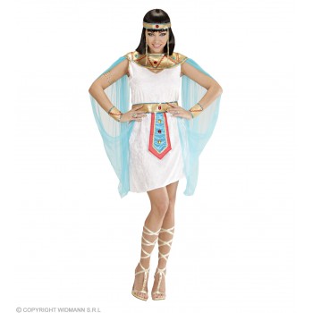 DISF.REINA EGIPCIA T-M