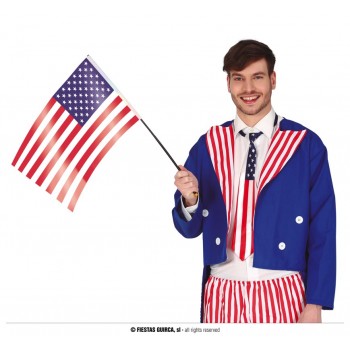 BANDERA CON PALO USA
