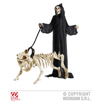 Esqueleto Perro C/Correa