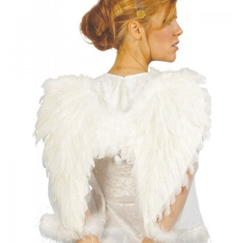 ALAS PLUMAS BLANCAS 50X45CM