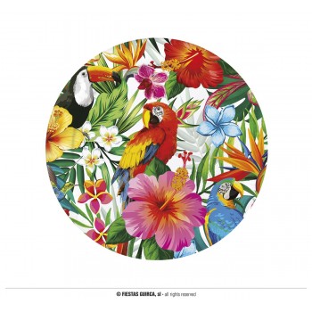 P/6 PLATO 23CM TROPICAL