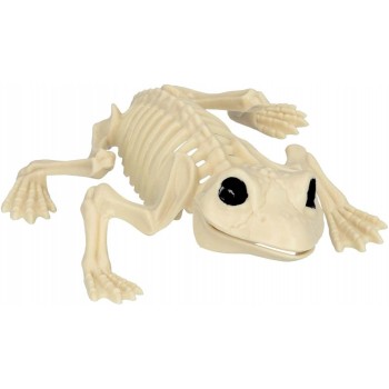 Esqueleto Rana 17X14cm