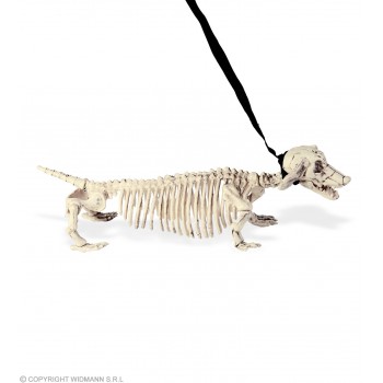 ESQUELETO PERRO SALCHICHA 55CM