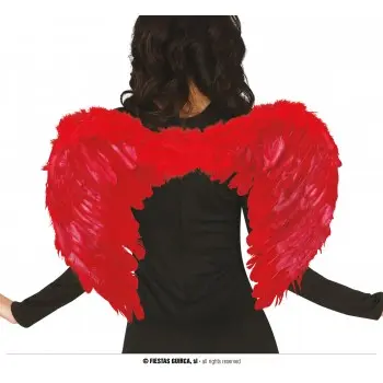 ALAS PLUMAS ROJAS 50X40CM