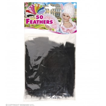 P/50 PLUMAS 10CM NEGRAS
