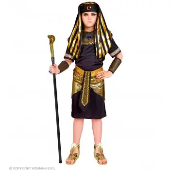 DISF.IMF.FARAON 8-10