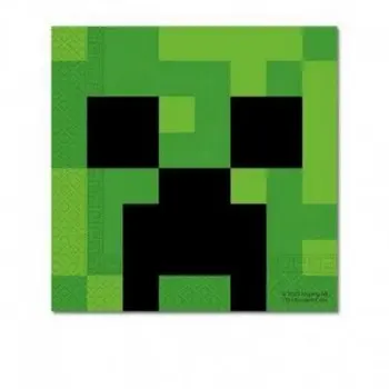 P/20 SERV. MINECRAFT 33X33