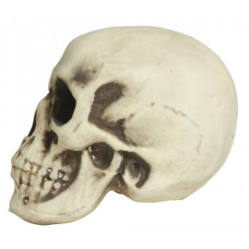 Calavera Foam 20Cm