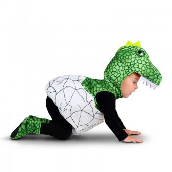 Disf.Bebe Dino 12-24Meses