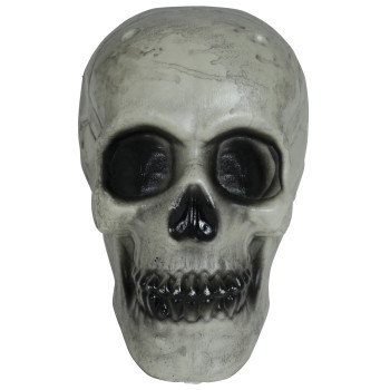 CALAVERA 20CM
