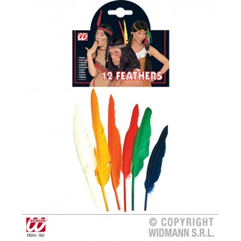 P/12 PLUMAS INDIO 25CM COLORES