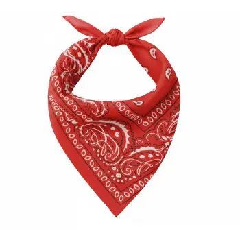 PAÑUELO VAQUERO ROJO