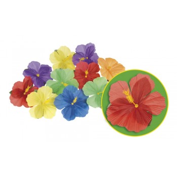 B/24 Flores Hibisco