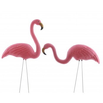 Pick Flamingo Rosa Pl.26X9x72c