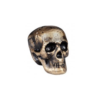 Calavera Goldberg