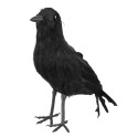Cuervo Negro 23X10cm