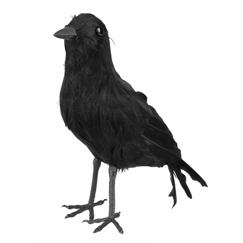 Cuervo Negro 23X10cm
