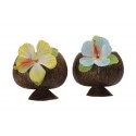 Copa Hawai Luxe Copa Hawai Luxe