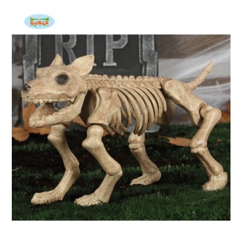 Esqueleto Perro 46Cm