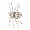 Esqueleto Araña