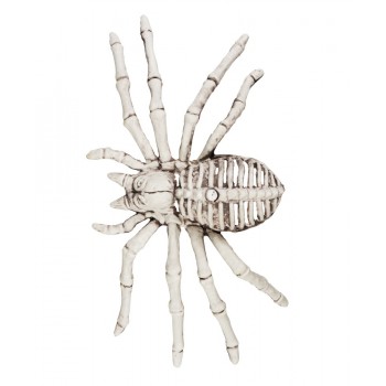 Esqueleto Araña