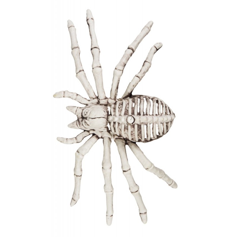 Esqueleto Araña