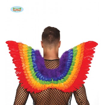 ALAS PLUMAS MULTICOLOR 80X 50C