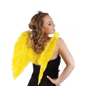 Alas Plumas Amarillas 50X50