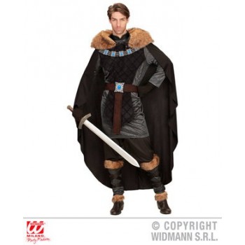 Disf.Principe Medieval