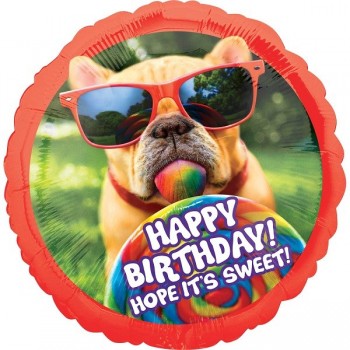 Globo Perro Gafas Sweet B-Day