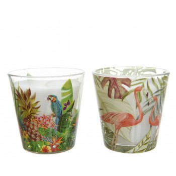 Vela Vaso Cristal Tropical 7Cm