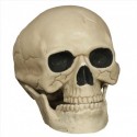 Calavera 20Cm Calavera 20Cm