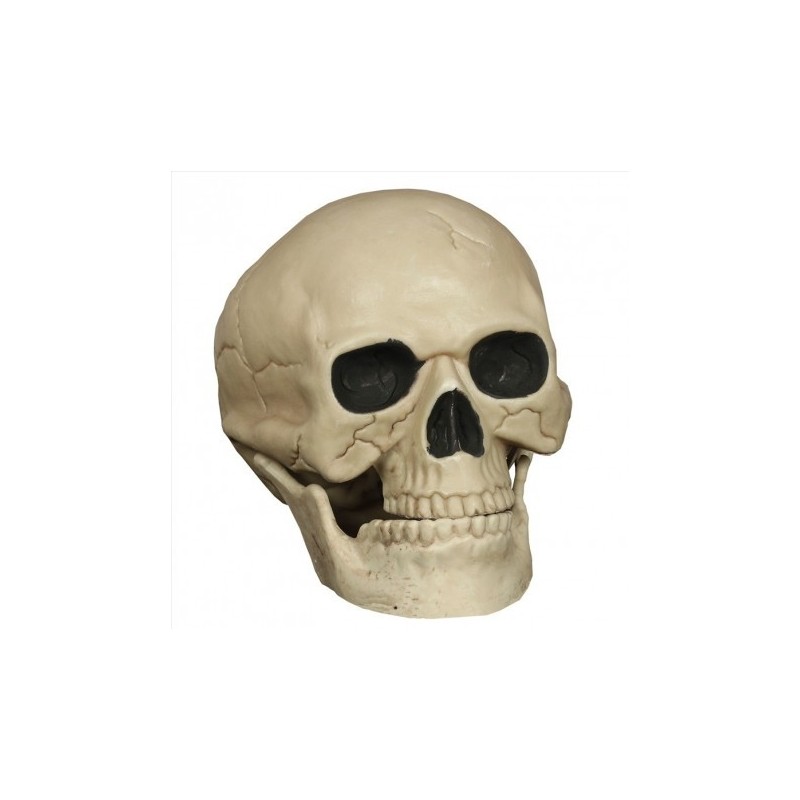 Calavera 20Cm Calavera 20Cm