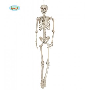 ESQUELETO 160CM