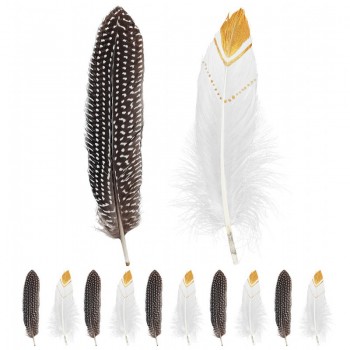 P/12 Plumas Indio Nativo