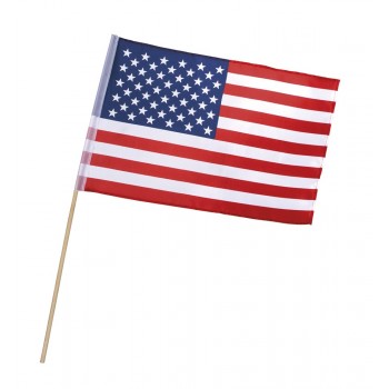 Bandera C/Palo Usa 30X45