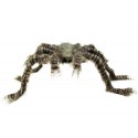 Araña Peluda Beige